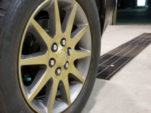 Gold Rim Accents - Barrie